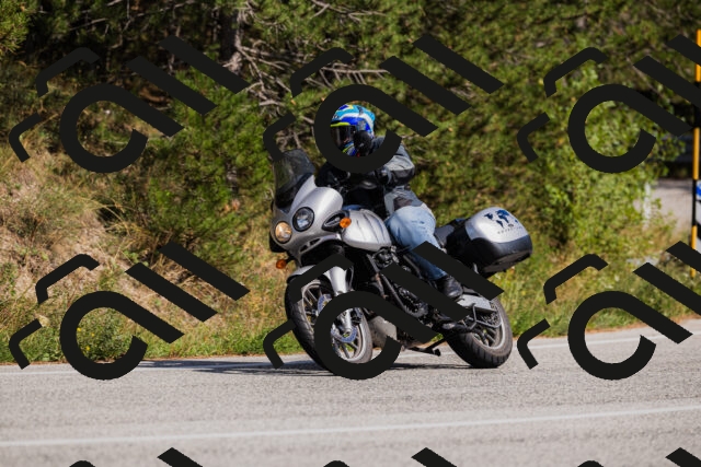 202509061514-_04A7409_c3