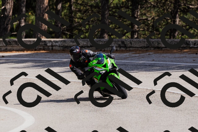 202509061517-_04A7410_c3