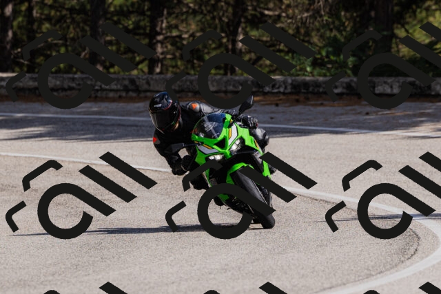 202509061517-_04A7412_c3