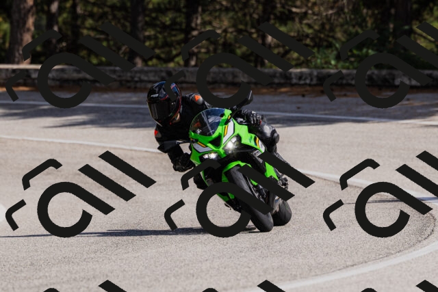 202509061517-_04A7413_c3