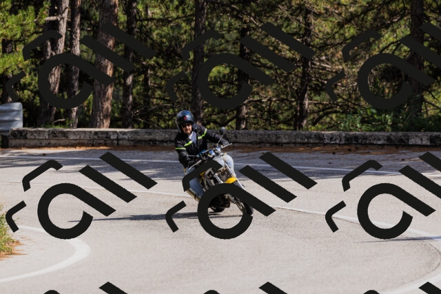 202509061517-_04A7418_c3