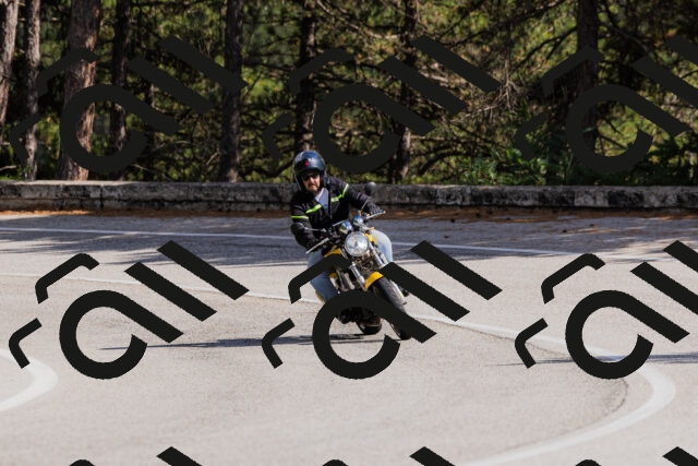 202509061517-_04A7419_c3