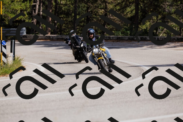 202509061517-_04A7420_c3