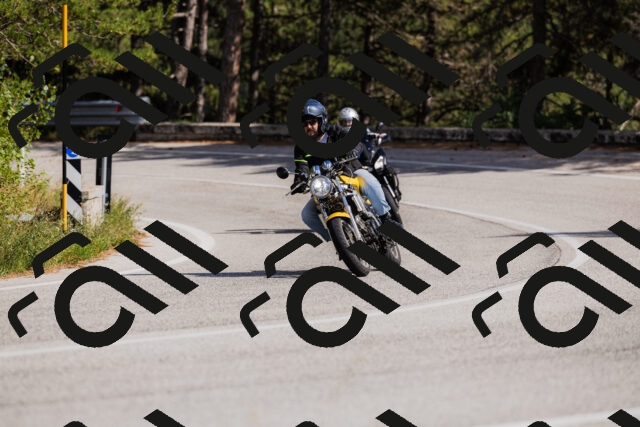 202509061517-_04A7421_c3