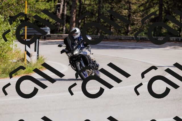 202509061517-_04A7422_c3