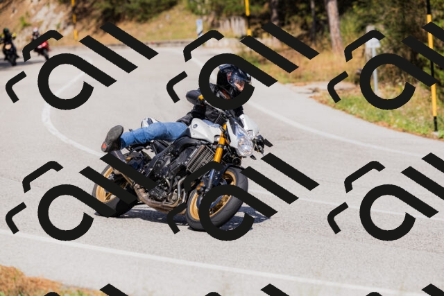 202509061519-_04A7429_c3