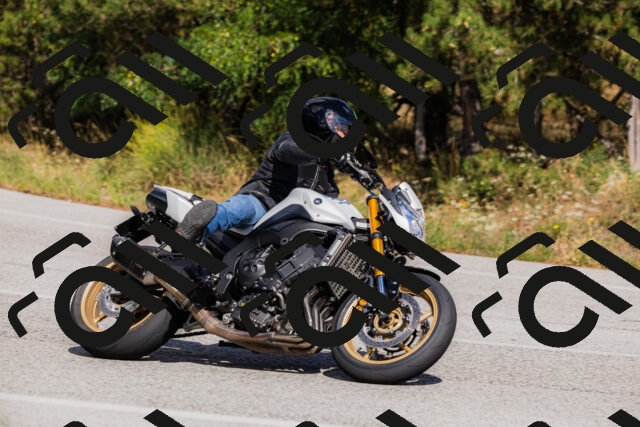 202509061519-_04A7430_c3