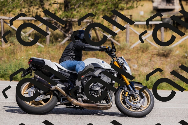 202509061519-_04A7431_c3