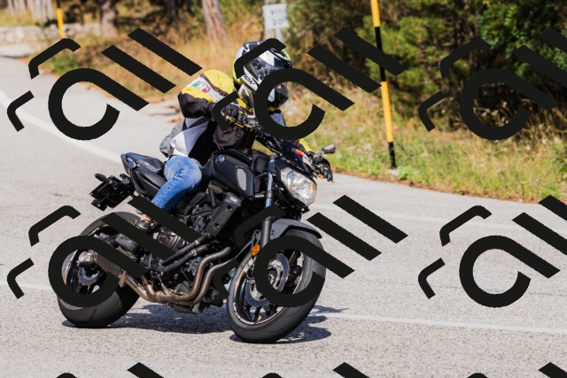 202509061519-_04A7434_c3