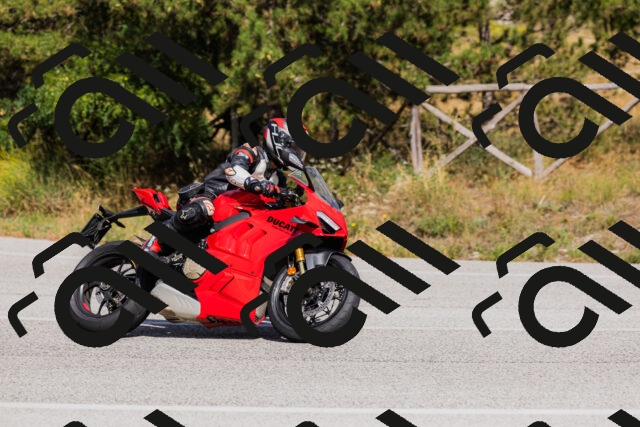 202509061519-_04A7435_c3