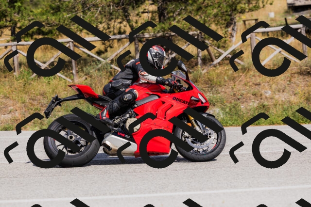 202509061519-_04A7436_c3