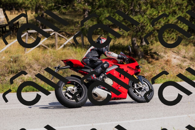 202509061519-_04A7437_c3