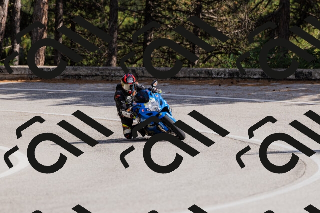 202509061520-_04A7438_c3