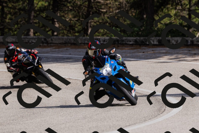 202509061520-_04A7440_c3