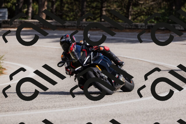 202509061520-_04A7443_c3