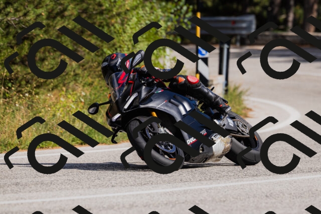 202509061520-_04A7444_c3