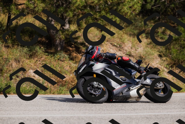 202509061520-_04A7445_c3