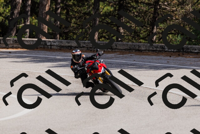 202509061522-_04A7446_c3