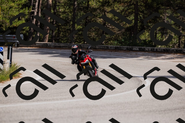 202509061522-_04A7448_c3