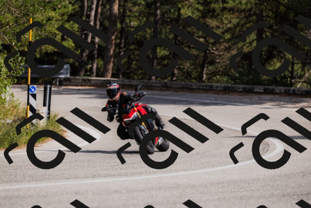 202509061522-_04A7449_c3