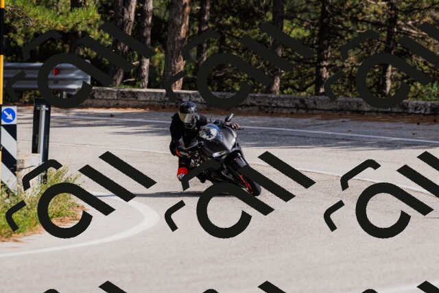 202509061522-_04A7452_c3