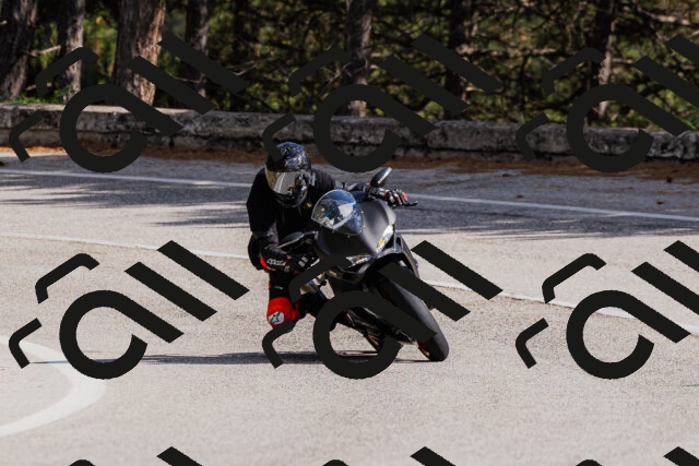 202509061522-_04A7453_c3