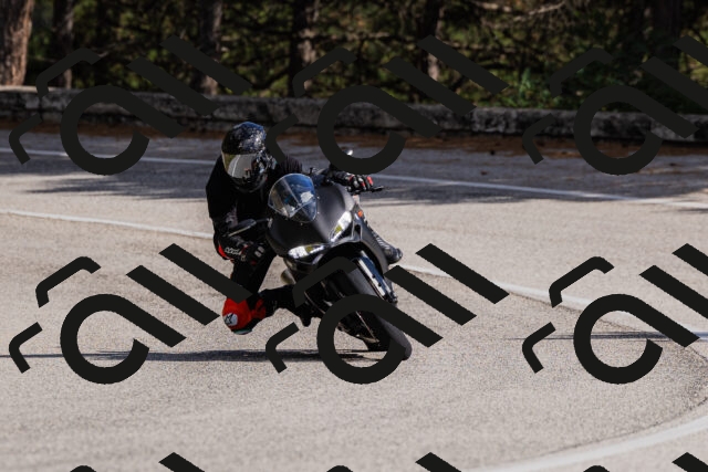 202509061522-_04A7454_c3