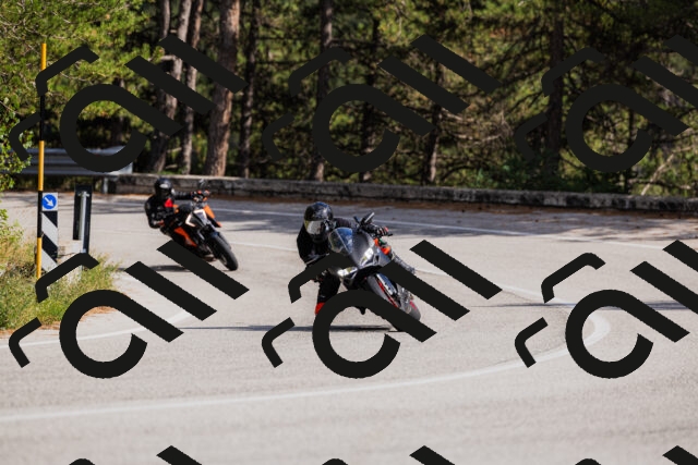 202509061522-_04A7455_c3