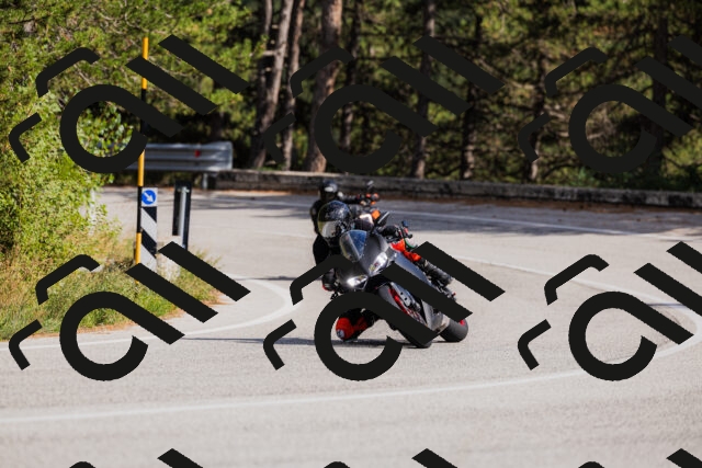 202509061522-_04A7456_c3