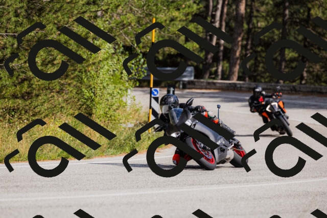 202509061522-_04A7457_c3