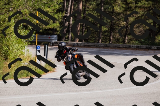 202509061522-_04A7458_c3