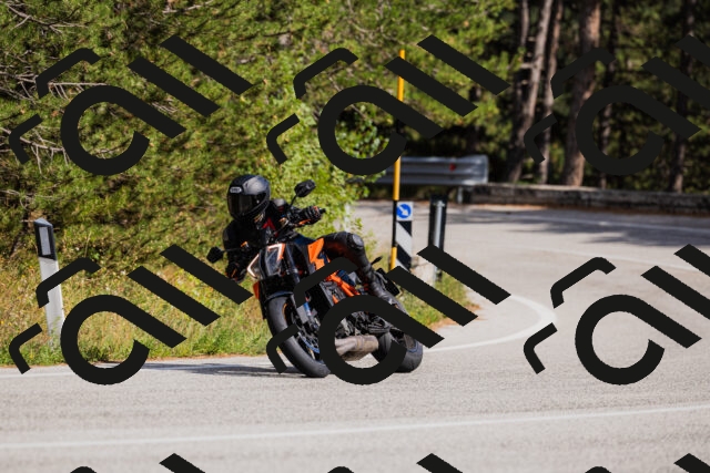 202509061522-_04A7459_c3