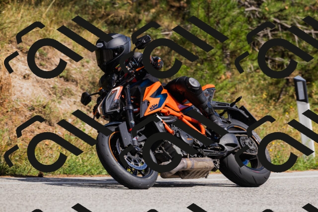 202509061522-_04A7460_c3