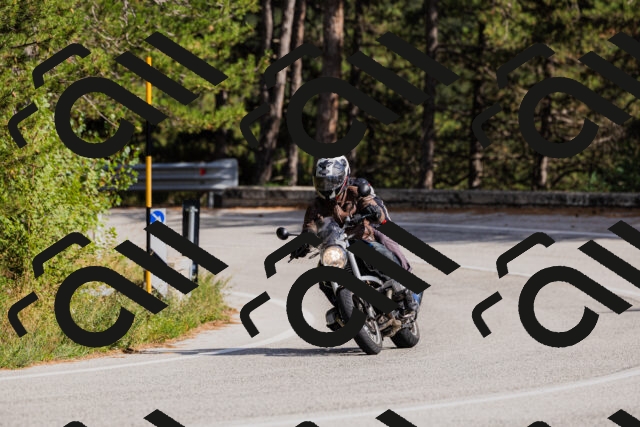 202509061522-_04A7461_c3