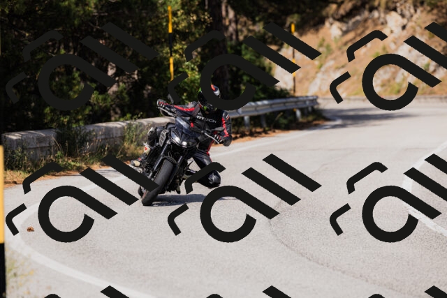 202509061524-_04A7464_c3