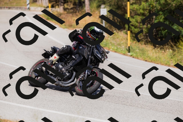 202509061524-_04A7466_c3