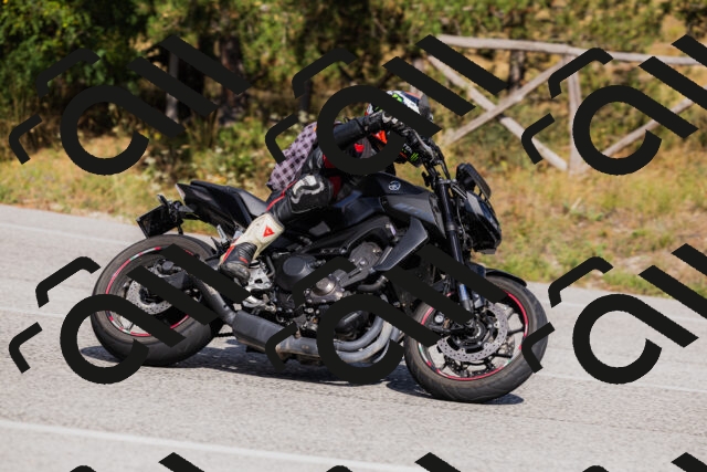 202509061524-_04A7467_c3