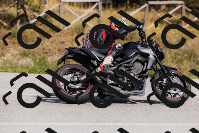 202509061524-_04A7468_c3