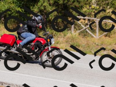 202509061546-_04A7669_c3