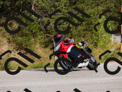 202509061546-_04A7680_c3