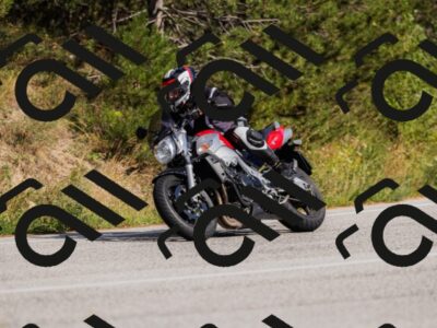 202509061559-_04A7862_c3