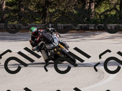 202509061605-_04A7913_c3