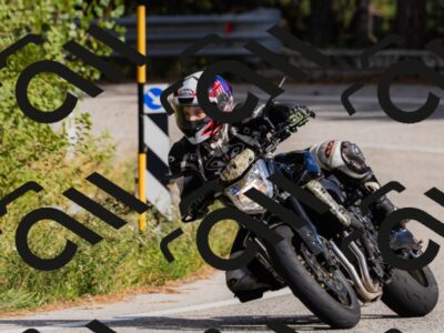 202509061610-_04A7950_c3