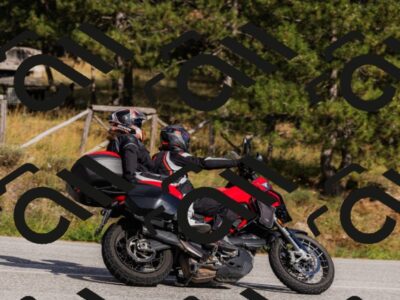 202509061612-_04A7988_c3