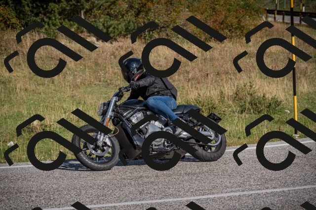 20250907101132-_5002578_am_