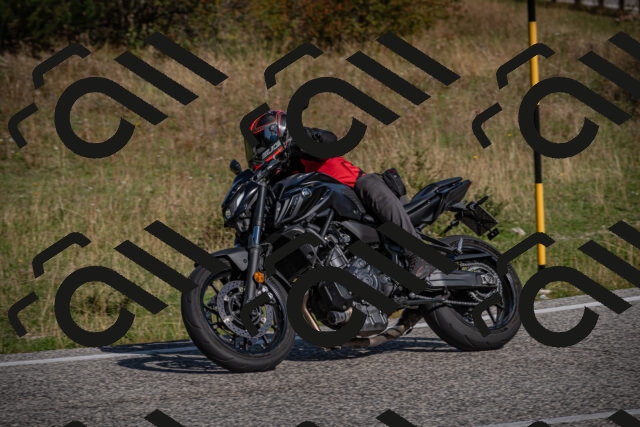 20250907102945-_5002794_am_