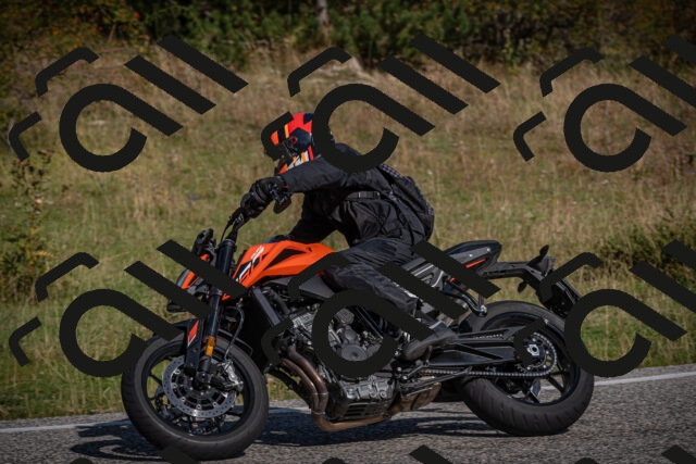 20250907102946-_5002796_am_