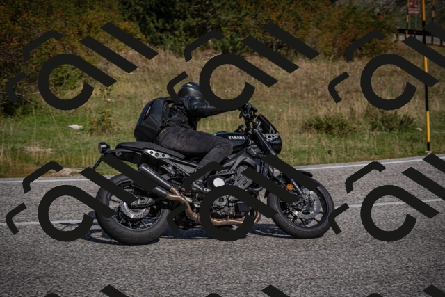 20250907104431-_5003010_am_