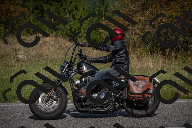 20250907105331-_5003170_am_