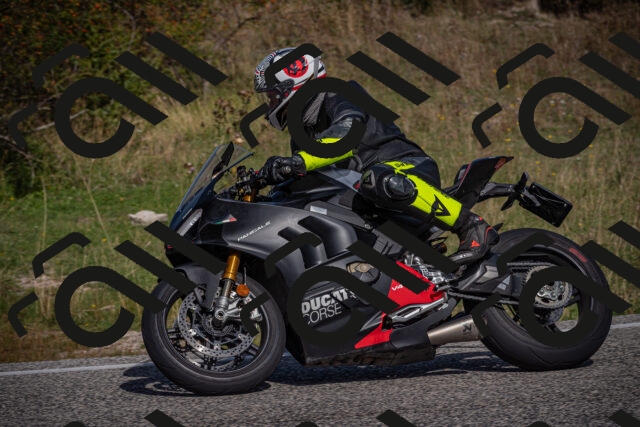 20250907110114-_5003298_am_